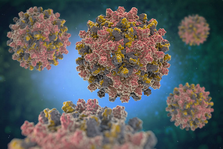 HEV IGM Rapid Ujian: Memimpin jalan dalam diagnosis hepatitis e