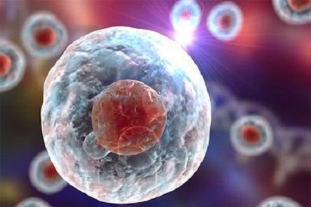 Babio melancarkan penyelesaian Giemsa Stain B berkualiti tinggi untuk diagnostik sitogenetik dan hematologi maju