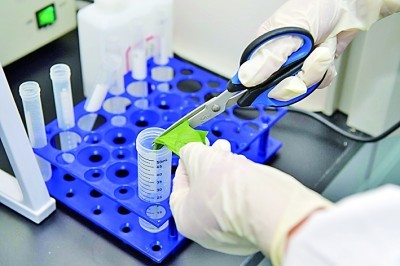 Pengenalan bakteria yang boleh dipercayai dibuat mudah dengan kit noda gram babio