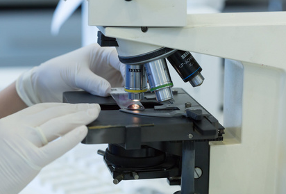 Mempercepat analisis lemak dengan sistem pengekstrakan Soxhlet JC-SXT-6A Babio Ogos 2025 | Babio Newsroom