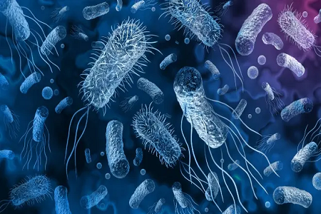 Babio melancarkan Vibrio Cholerae Rapid Antigen Kit