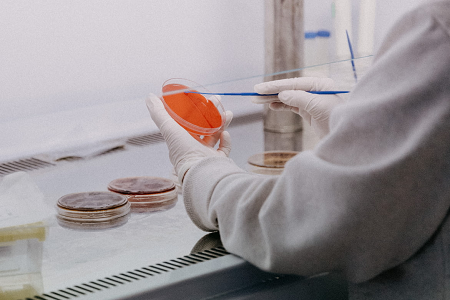 Babio memperkenalkan kentang dextrose agar (USP) untuk ujian acuan dan yis yang boleh dipercayai