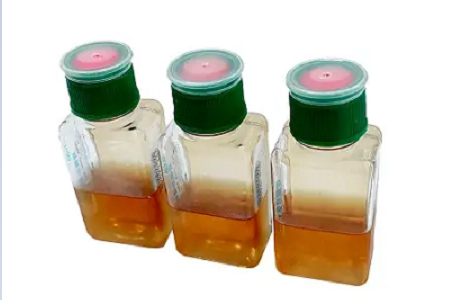 Botol Kultur Darah BABIO Menyokong Pengesanan Jangkitan Salur Darah yang Lebih Pantas dan Boleh Dipercayai