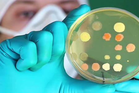 BABIO Melancarkan Sup Soya Trypticase Premium (TSB) untuk Mikrobiologi Klinikal & Makmal Global