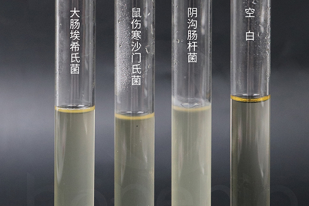 Babio Bioteknologi Melancarkan Sup Infusi Jantung Otak Berprestasi Tinggi untuk Pembiakan Mikrob yang Boleh Dipercayai