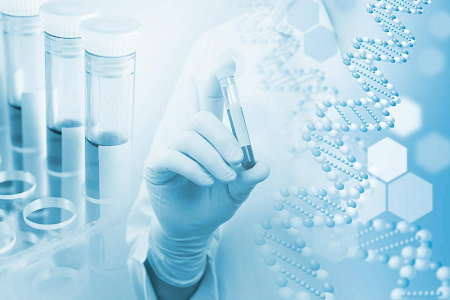 Agar Medium B (Casein Soya Bean Digest Agar) – Pilihan Boleh Dipercayai untuk Budaya Mikrob