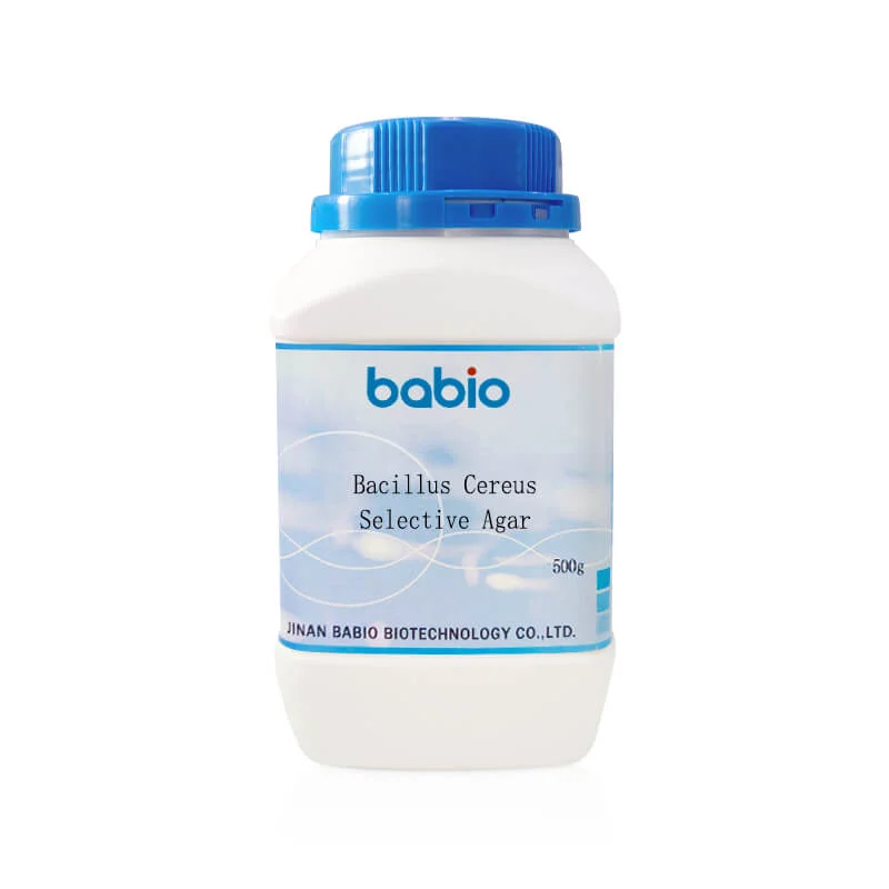 Agar Selektif Bacillus Cereus