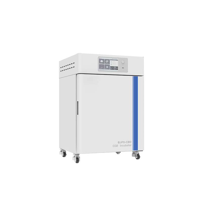 Inkubator CO2 BJPX-C50 BJPX-C80 BJPX-C160 BJPX-C80S BJPX-C160S