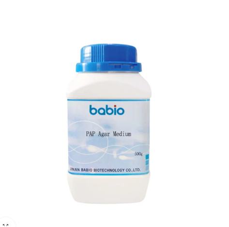 Medium Agar PAP