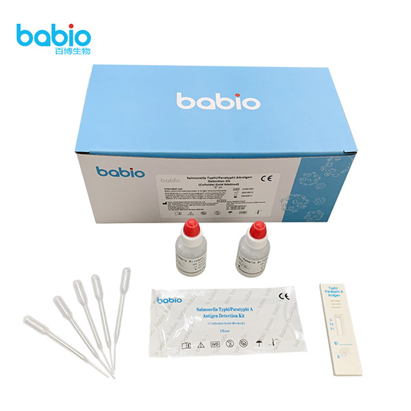 Kit Pengesanan Antigen Salmonella Typhi/Paratyphi A (Kaedah Colloidal Gold)